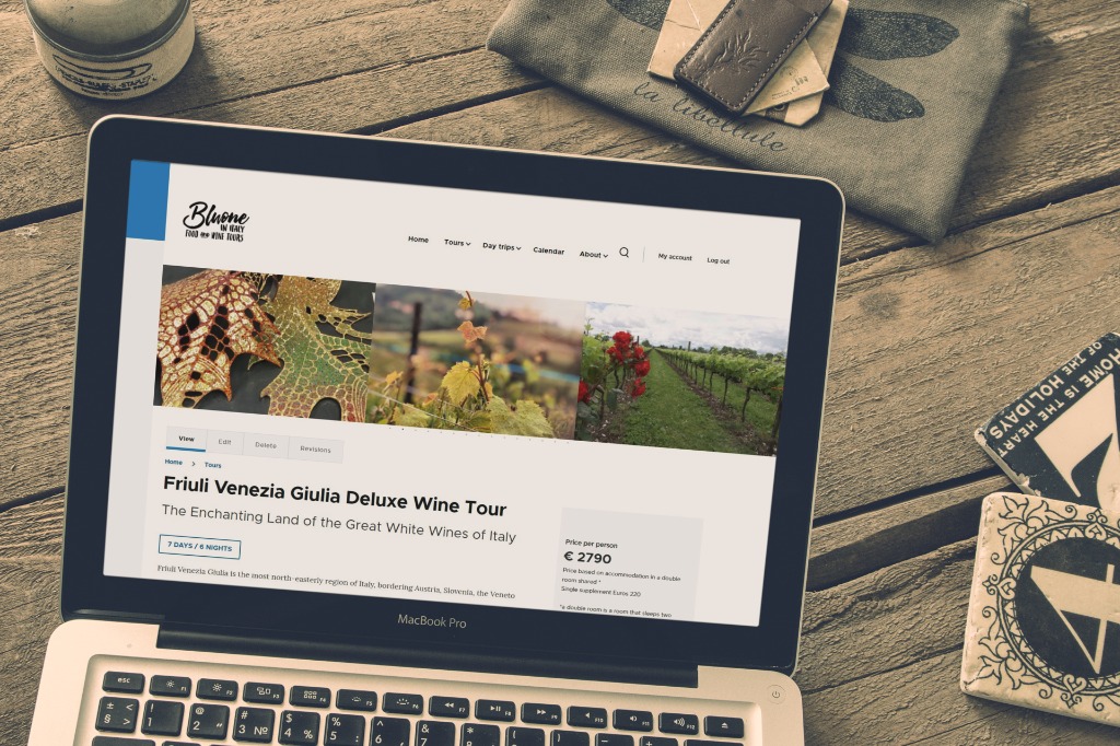 Web Design - Detail view 1